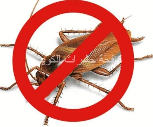 مكافحة حشرات هدية بالكويت